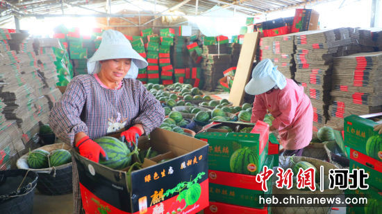 深圳南宫，繁华都市中的璀璨明珠